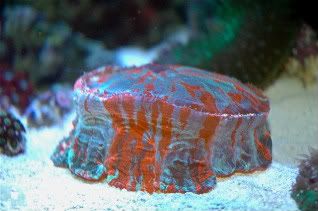 DSC_0001-3-1.jpg