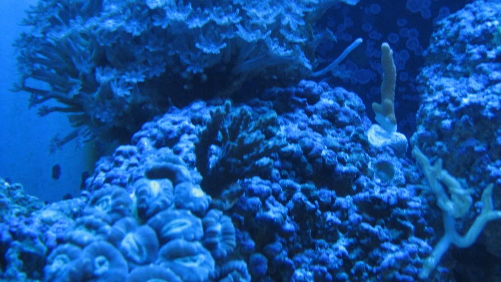 IMG_0373.jpg