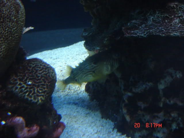 DSC01326.jpg
