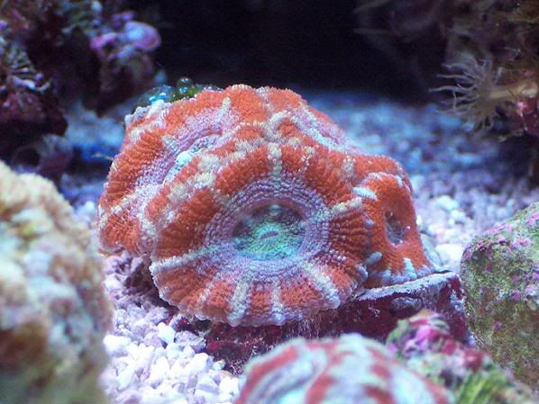 100_0863.jpg