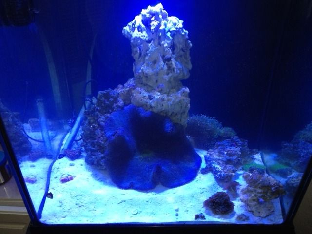 photo30.jpg