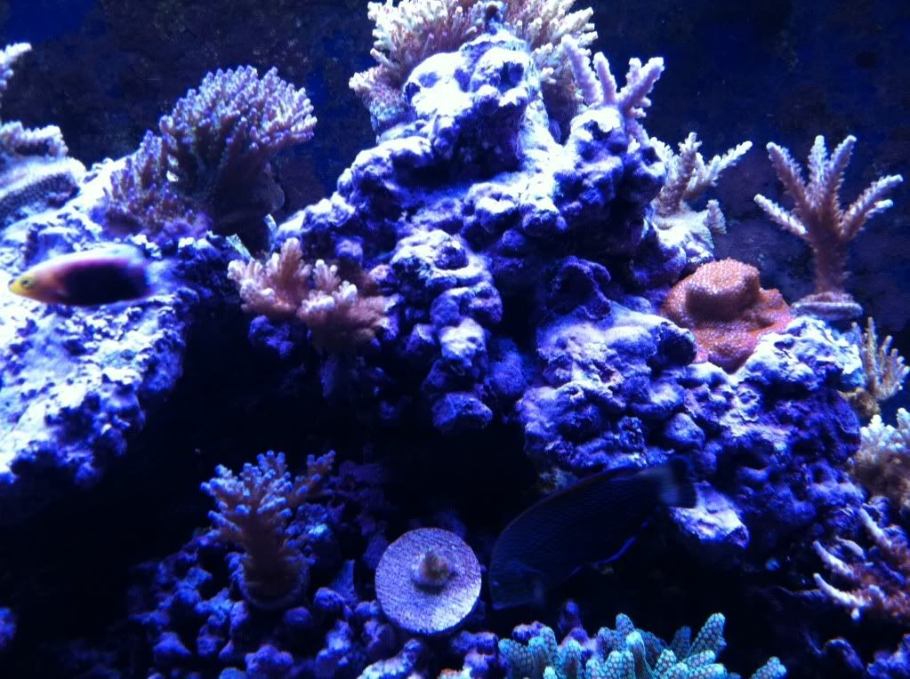 frags2-25-12021.jpg