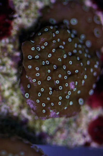DSC_1140_edited-1.jpg