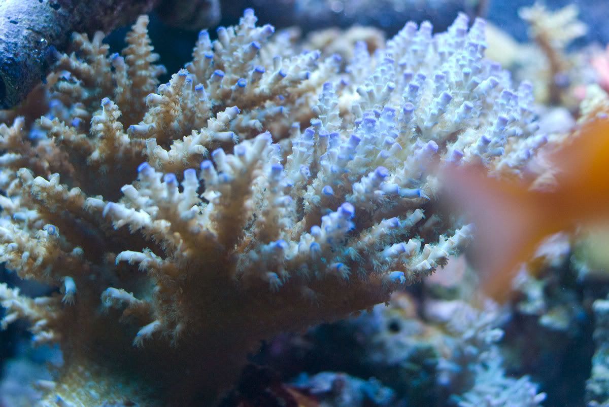 DSC_0406.jpg