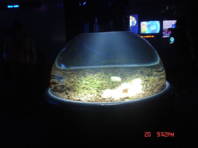 DSC01478.jpg