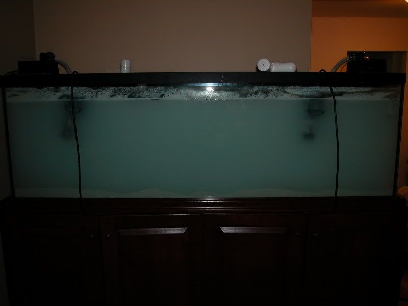 DSCN2555.jpg