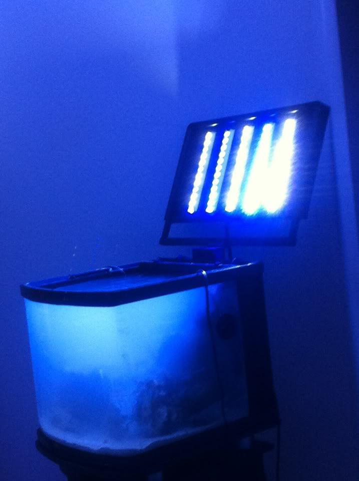 photo1.jpg