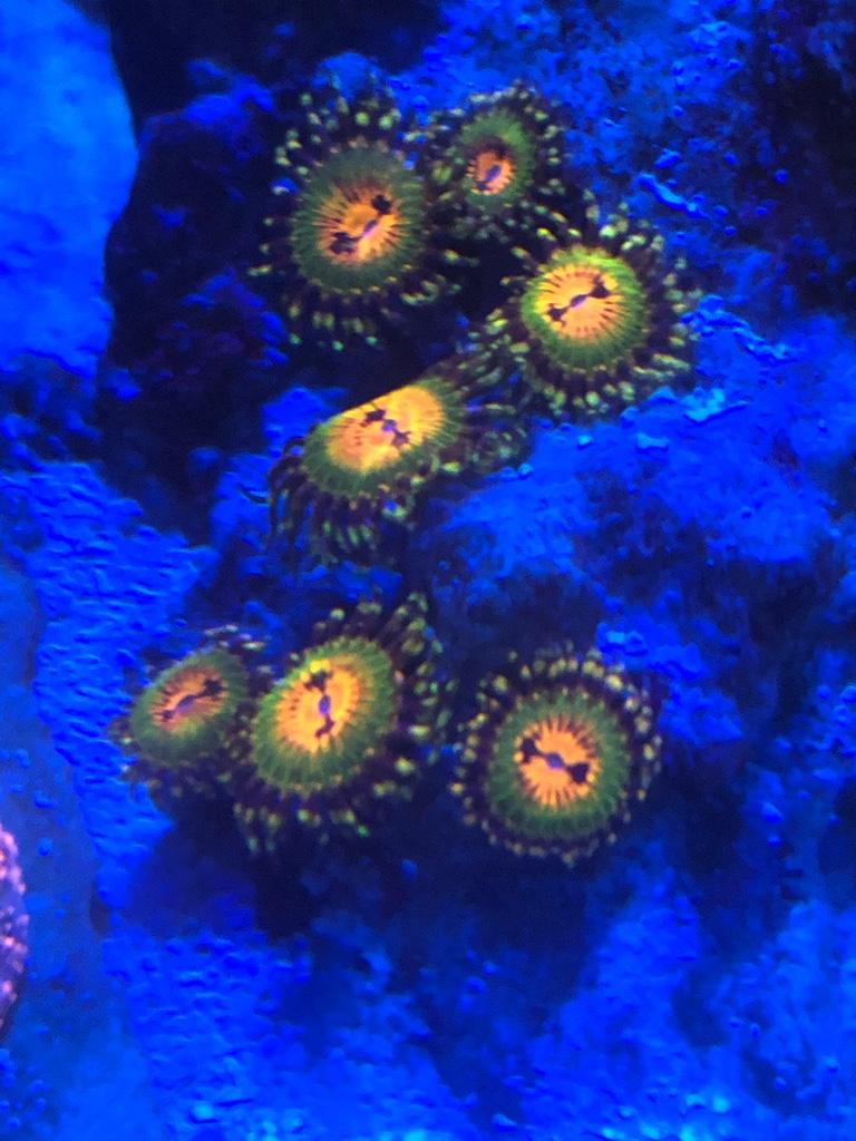ff4d6aa123cd295f5efcd0fbb62d7bb2.jpg