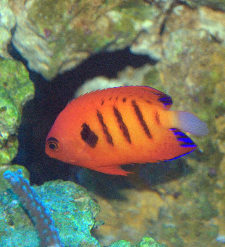 DSC_0332.jpg