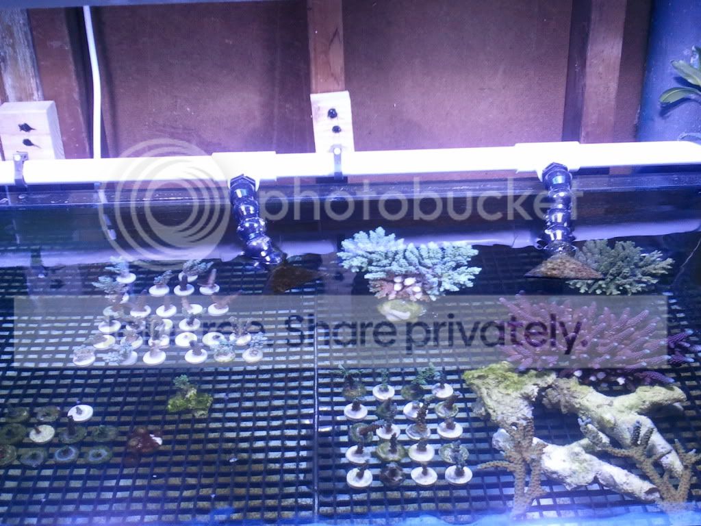 2011-01-23204753.jpg