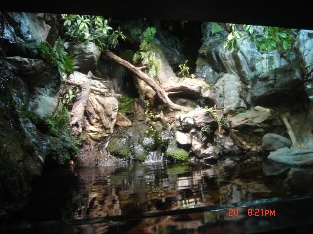 DSC01335.jpg