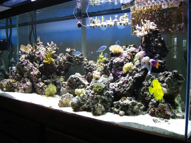 IMG_0471.jpg