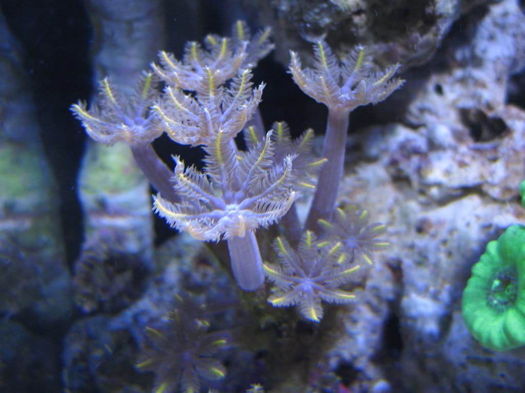 IMG_1883.jpg