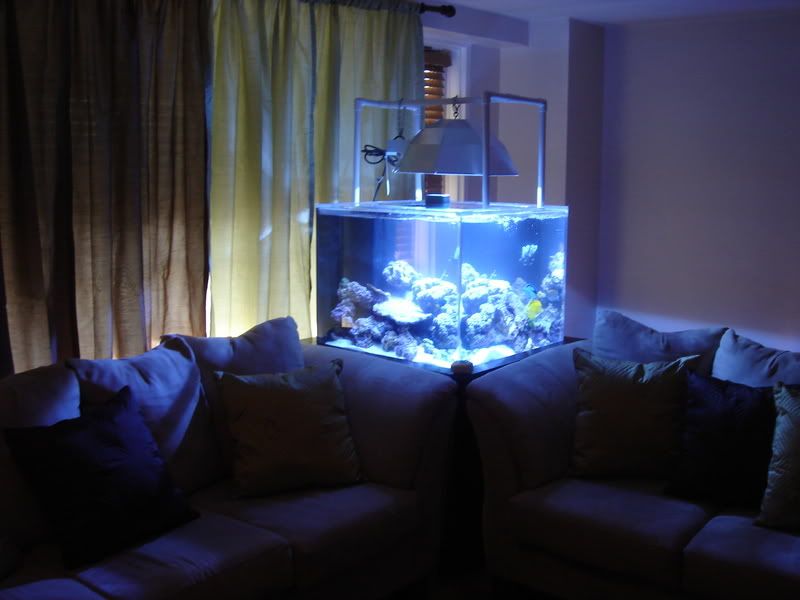2008_0323100g-square0010.jpg