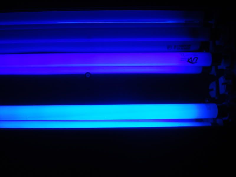 fishtank4-09011.jpg