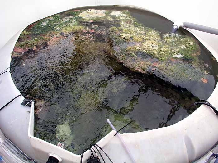 zrefugium1.jpg