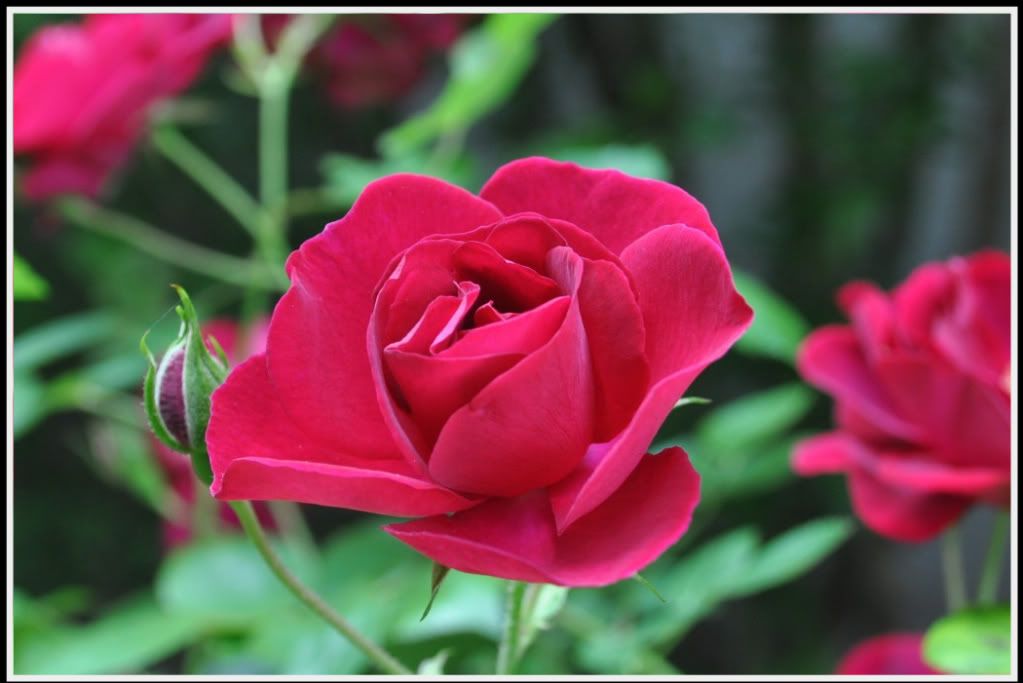 DSC_0372.jpg
