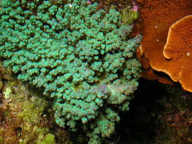 DSCN1119.jpg