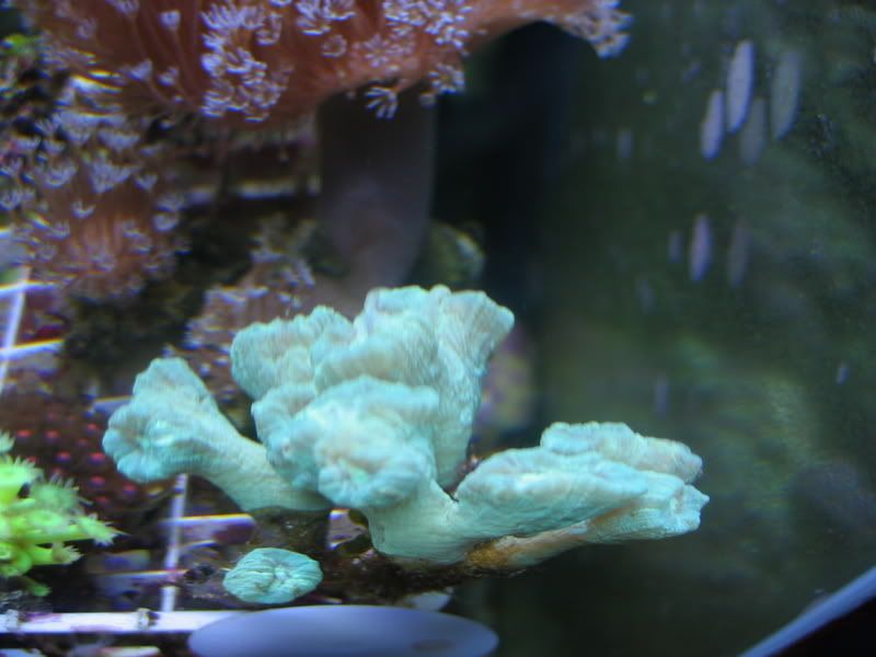 IMG_1169.jpg