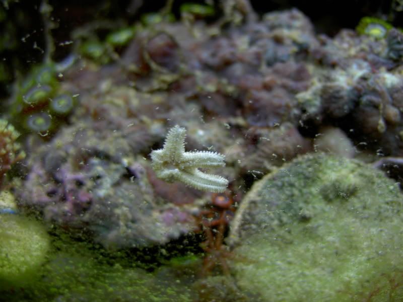 PICT6179.jpg