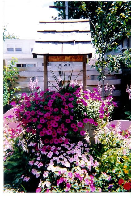 Pond014.jpg