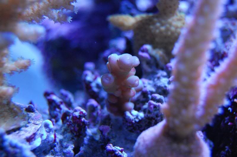 DSC_0208.jpg