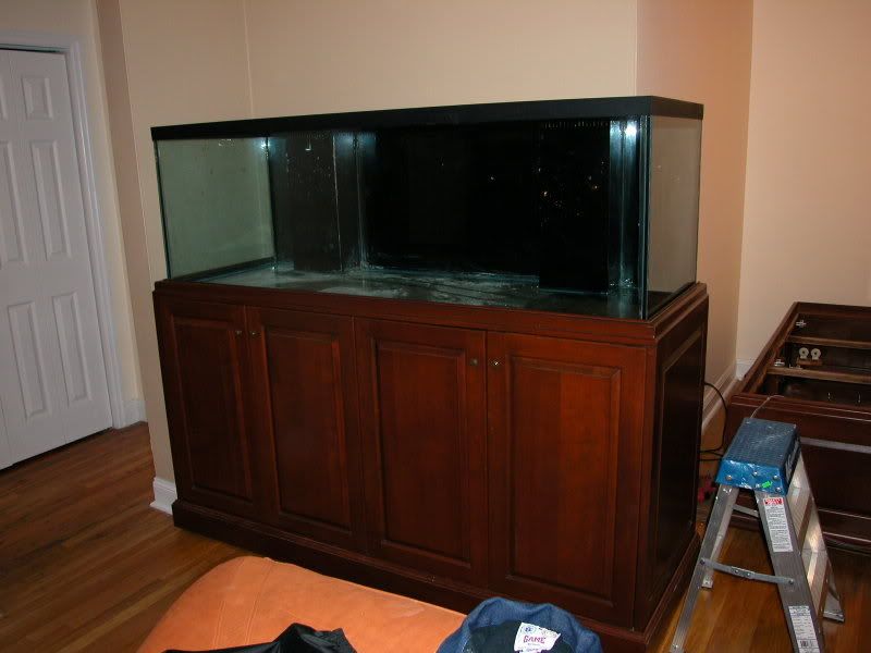 DSCN2431.jpg