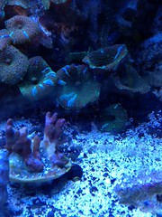 8619185028_c8edbe7de1_m.jpg