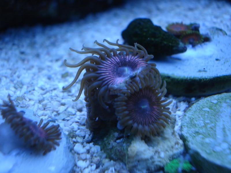 fish4-09092.jpg
