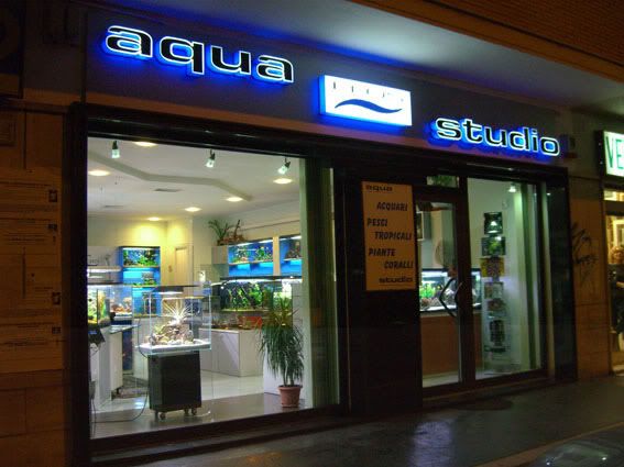 romestoreElos.jpg
