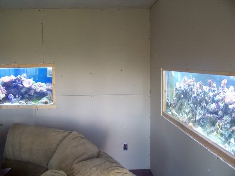fishytanks003.jpg