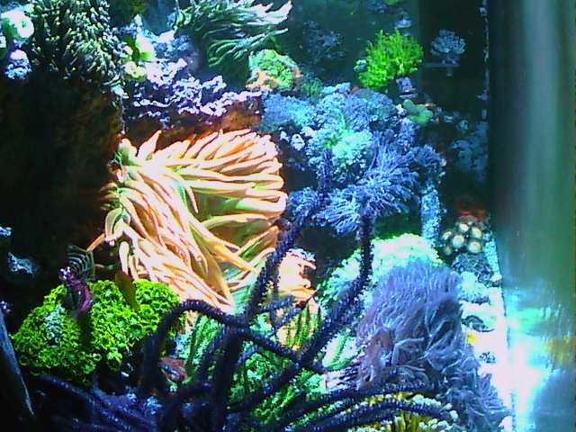 20140904_201501_00_zps4e8a6aac.jpg