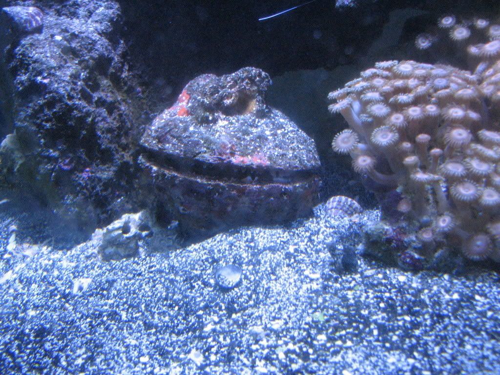 IMG_1532.jpg