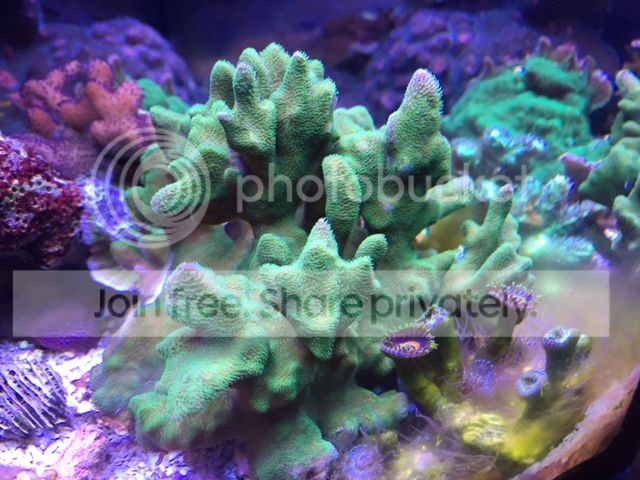 IMG_3191_zpsjb96vbmj.jpg