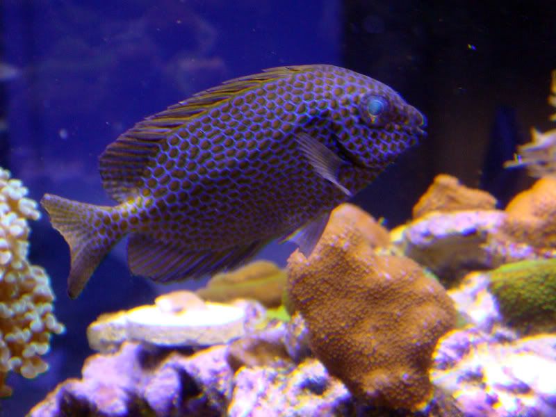 DSC02378_edited.jpg