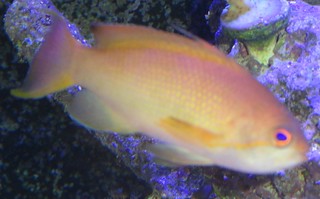 7389100194_4ce9007810_n.jpg