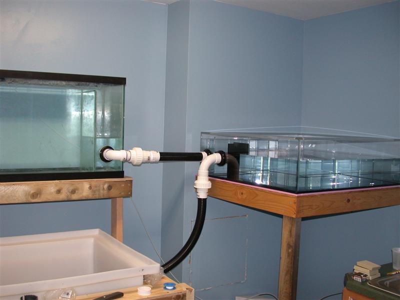 DSCN2193.JPG