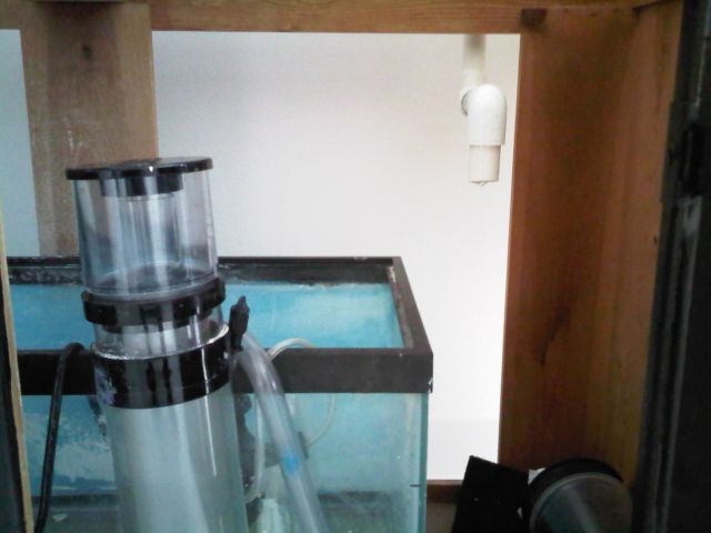IMG00108-20090421-1653.jpg