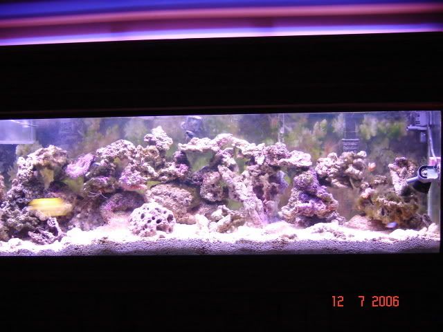 DSC00721.jpg