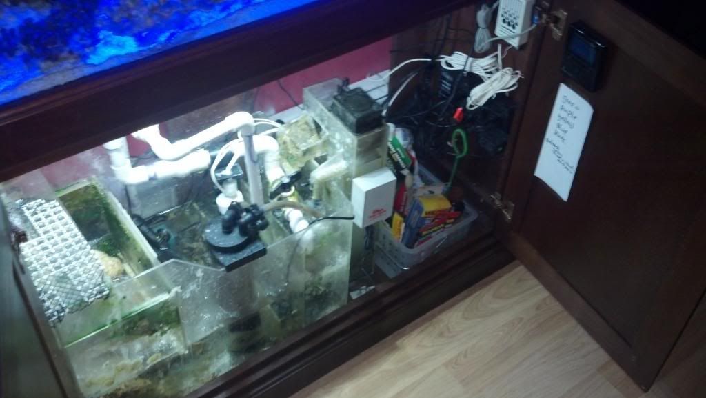 2013-02-11_20-44-29_894.jpg