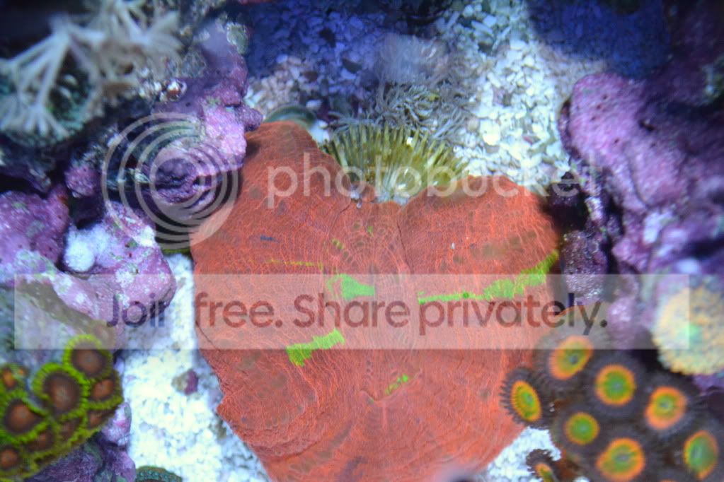 nanoforsale034.jpg