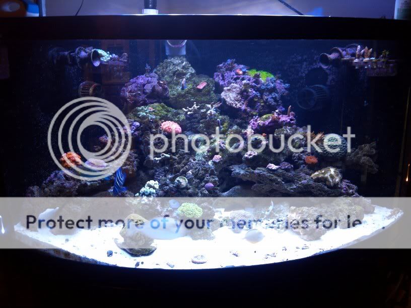 GosmsPhoto1324083225479.jpg