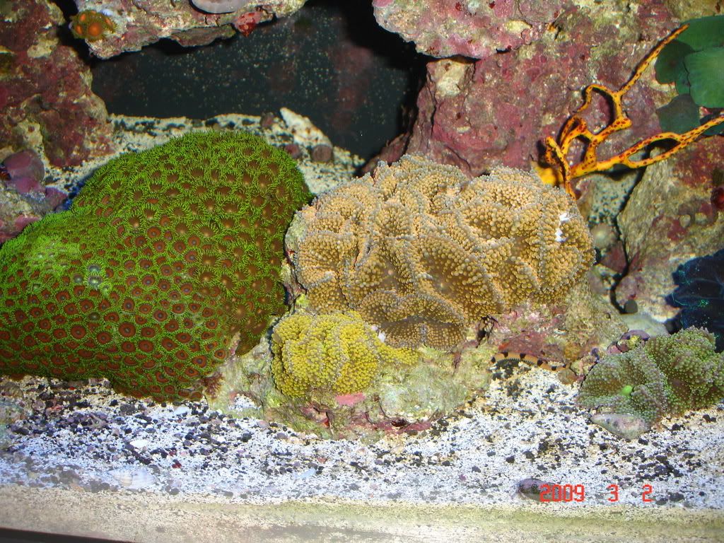 DSC02900.jpg