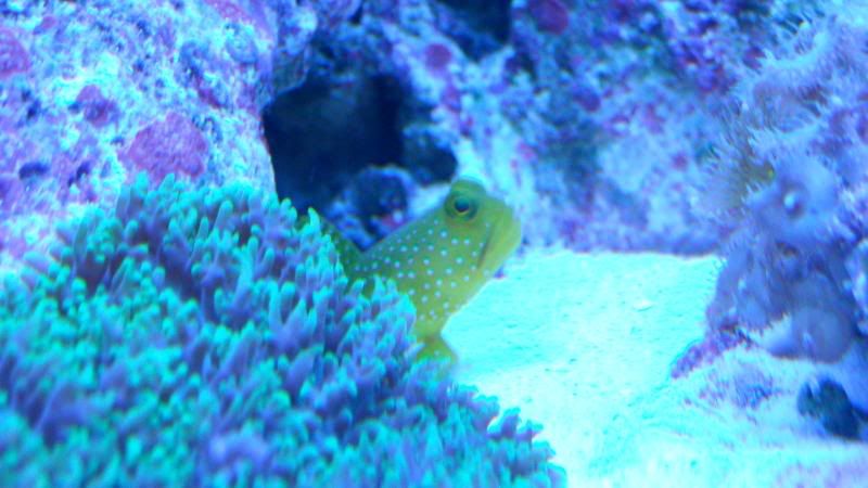 DSCN0688.jpg