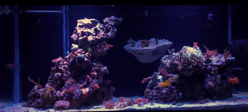 FTS3.jpg