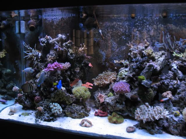 tanksep08004.jpg
