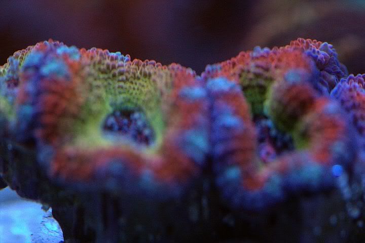 rainbow3.jpg