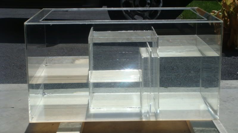 DSC01795.jpg