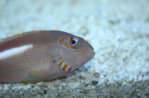 IMG_5446.jpg