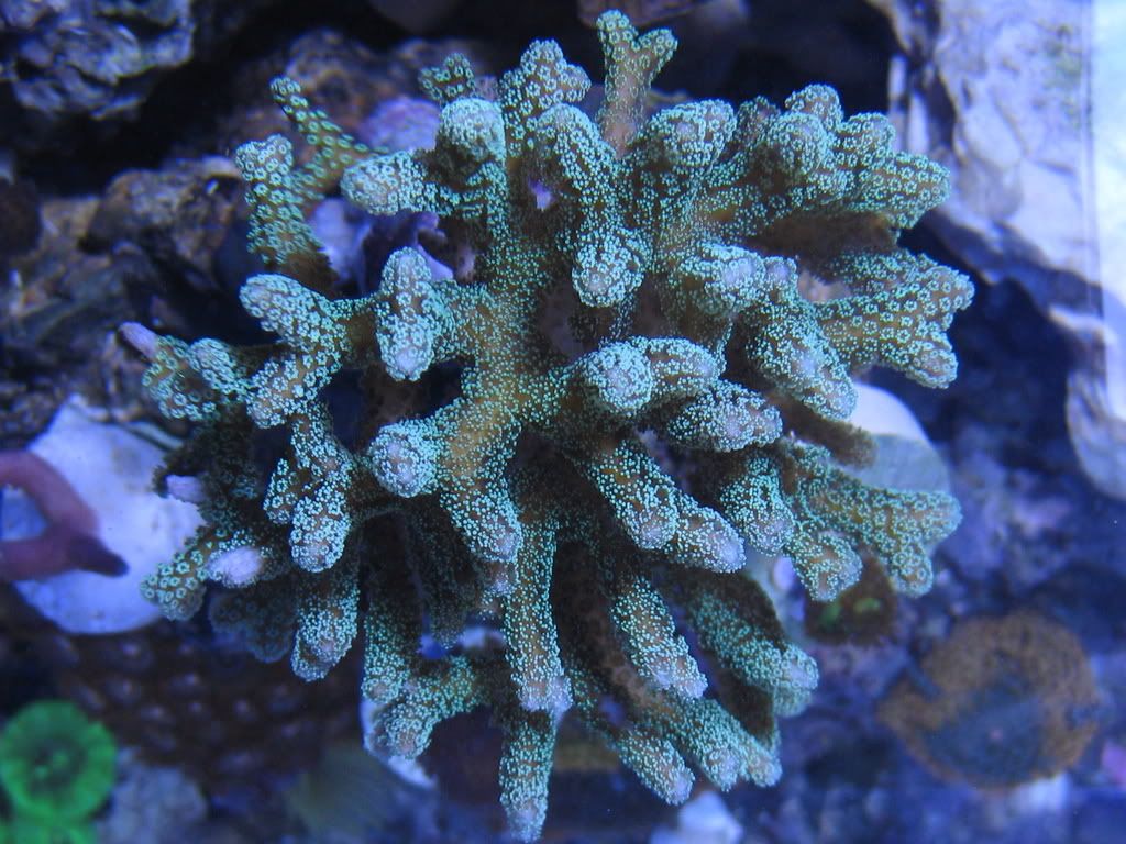 IMG_1935.jpg